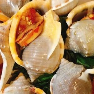Ốc Tỏi Nướng Muối Ớt