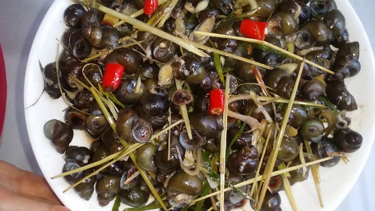 Ốc Đắng Xào Sả